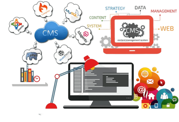 mobile and website developing